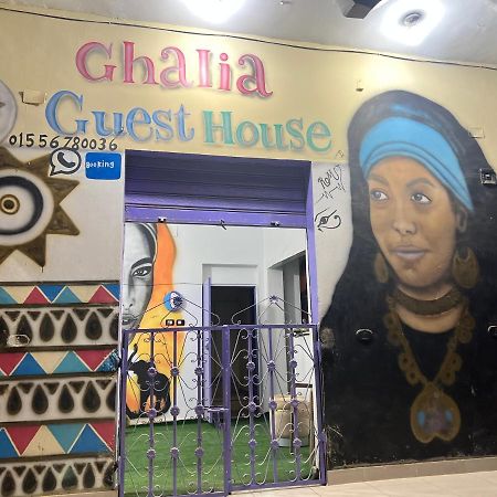 Ghalia Guest House أسوان المظهر الخارجي الصورة