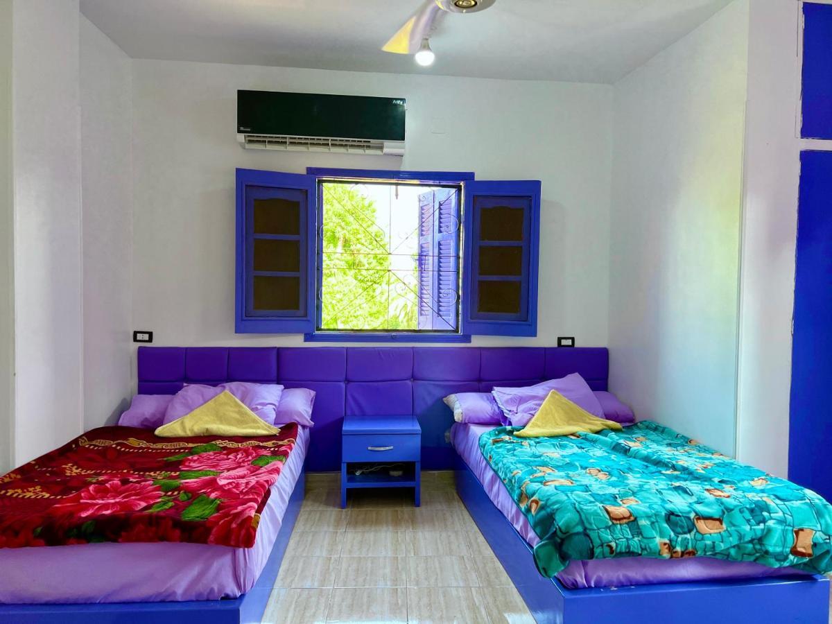 Ghalia Guest House أسوان المظهر الخارجي الصورة