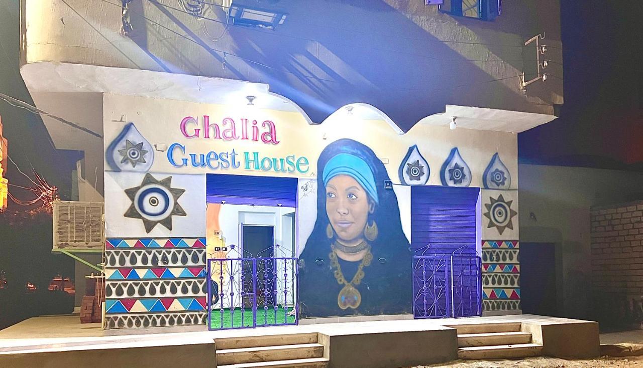 Ghalia Guest House أسوان المظهر الخارجي الصورة